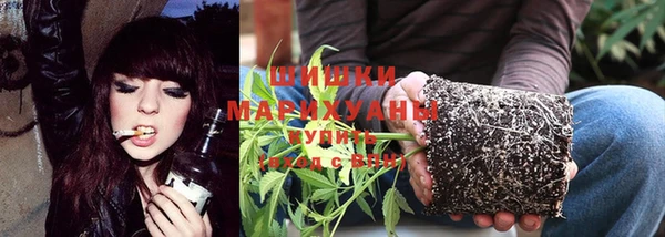 apvp Вязники